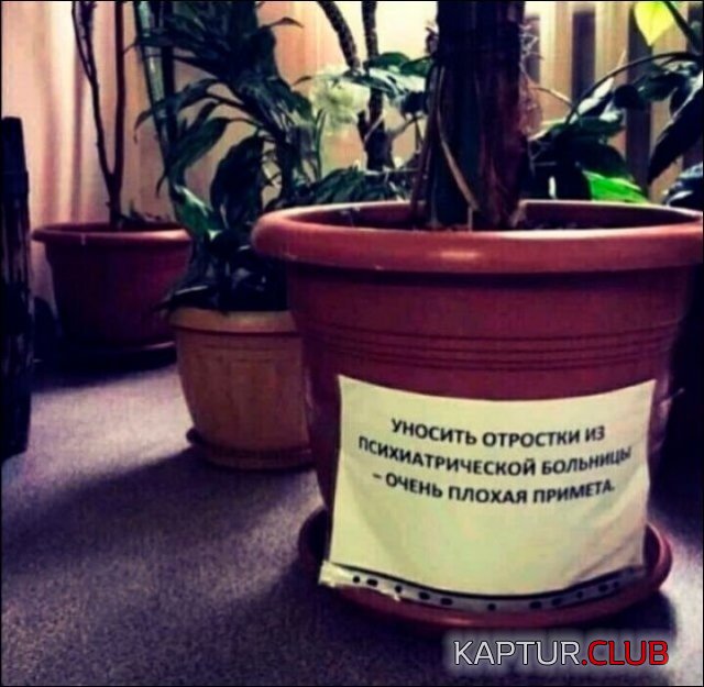 207014_11_trinixy_ru.jpg | Рено Каптур Клуб Россия | Форум KAPTUR.SU