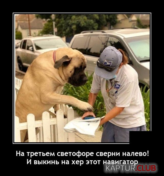207037_13_trinixy_ru.jpg | Рено Каптур Клуб Россия | Форум KAPTUR.SU