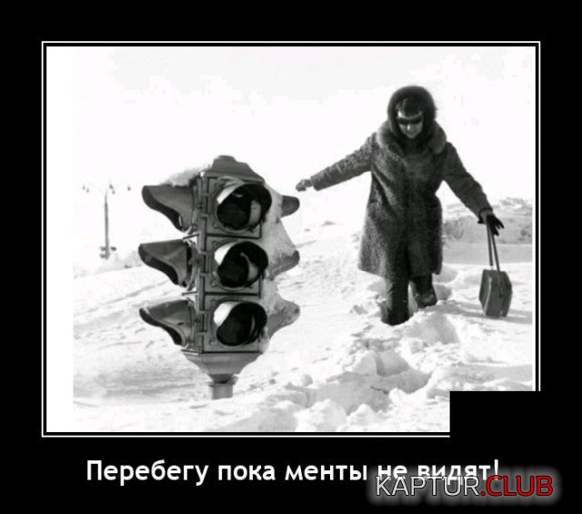207037_5_trinixy_ru.jpg | Рено Каптур Клуб Россия | Форум KAPTUR.SU