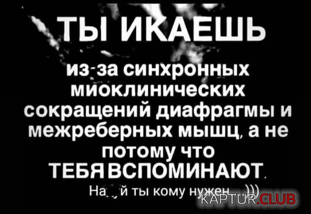 207101_2_trinixy_ru.jpg | Рено Каптур Клуб Россия | Форум KAPTUR.SU