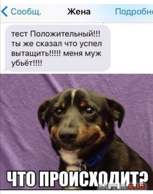 207195_11_trinixy_ru.jpg | Рено Каптур Клуб Россия | Форум KAPTUR.SU
