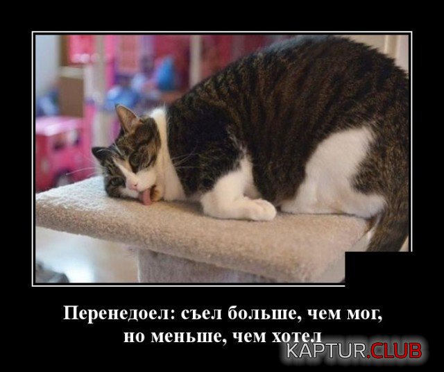 207429_4_trinixy_ru.jpg | Рено Каптур Клуб Россия | Форум KAPTUR.SU
