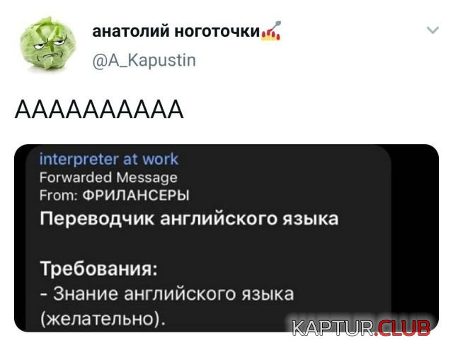 207533_1_trinixy_ru.jpg | Рено Каптур Клуб Россия | Форум KAPTUR.SU