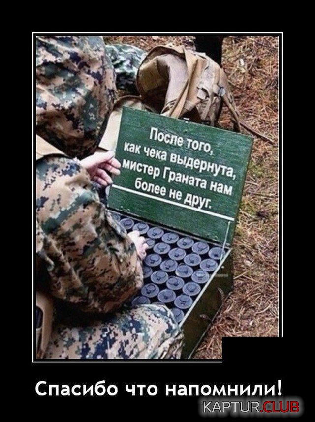 207558_19_trinixy_ru.jpg | Рено Каптур Клуб Россия | Форум KAPTUR.SU