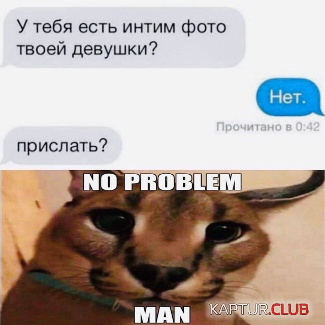 207593_12_trinixy_ru.jpg | Рено Каптур Клуб Россия | Форум KAPTUR.SU