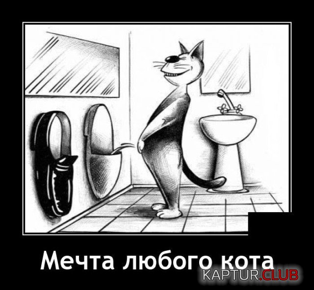 207617_13_trinixy_ru.jpg | Рено Каптур Клуб Россия | Форум KAPTUR.SU