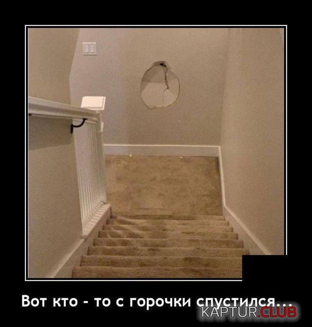 207617_6_trinixy_ru.jpg | Рено Каптур Клуб Россия | Форум KAPTUR.SU