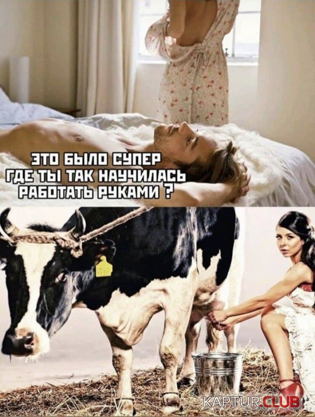 207632_14_trinixy_ru.jpg | Рено Каптур Клуб Россия | Форум KAPTUR.SU