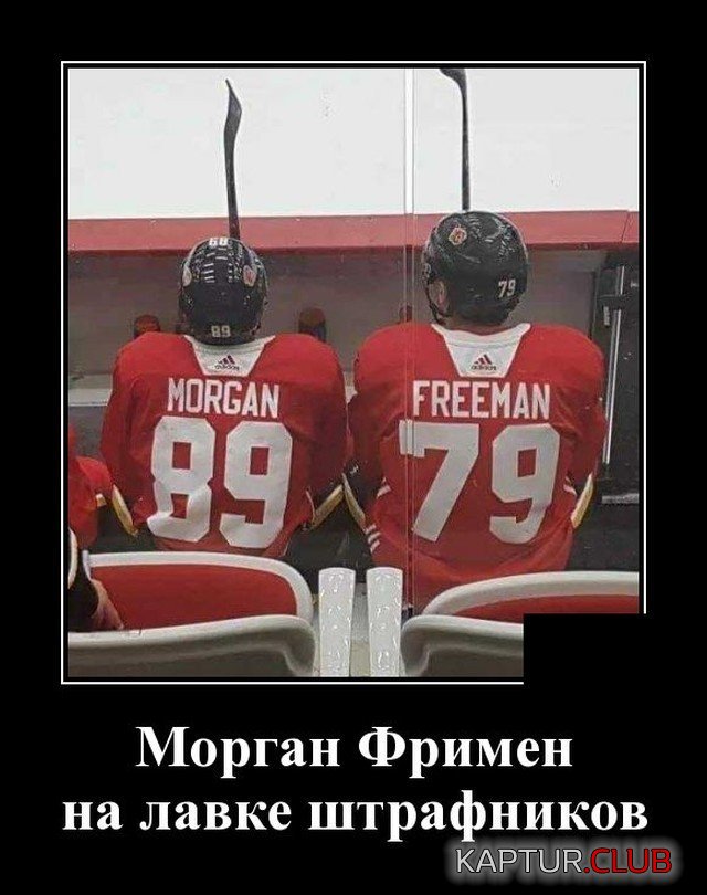 207764_16_trinixy_ru.jpg | Рено Каптур Клуб Россия | Форум KAPTUR.SU