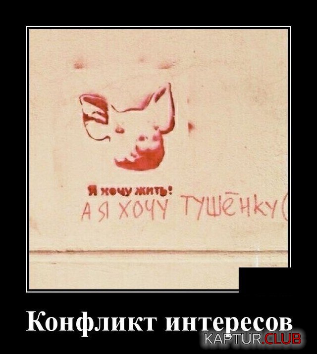 207764_2_trinixy_ru.jpg | Рено Каптур Клуб Россия | Форум KAPTUR.SU