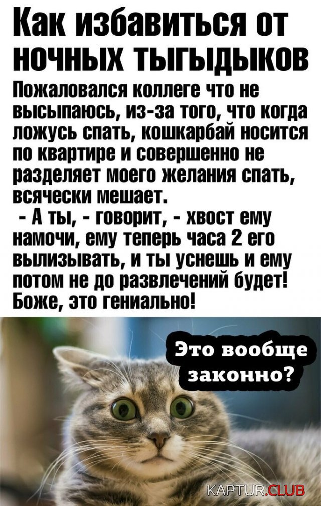 207815_13_trinixy_ru.jpg | Рено Каптур Клуб Россия | Форум KAPTUR.SU