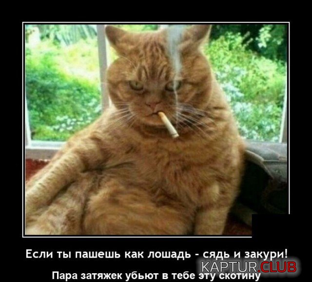 207841_15_trinixy_ru.jpg | Рено Каптур Клуб Россия | Форум KAPTUR.SU