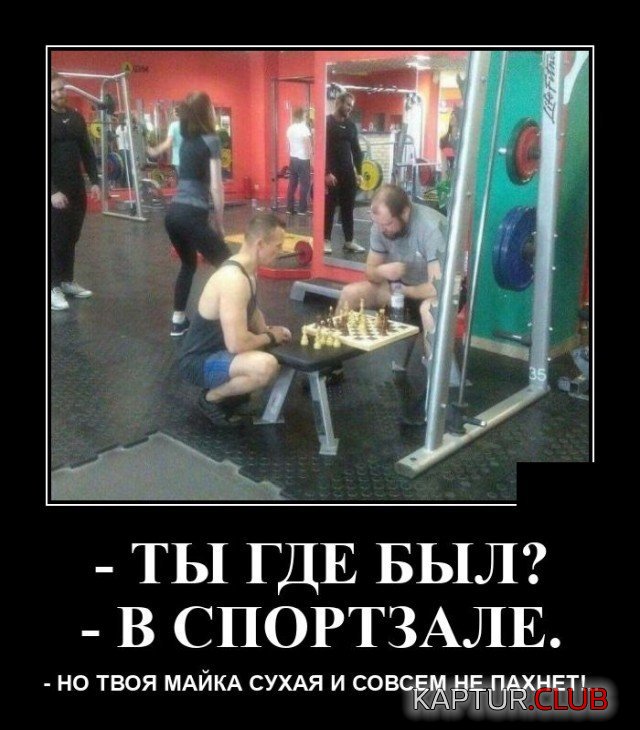 207841_16_trinixy_ru.jpg | Рено Каптур Клуб Россия | Форум KAPTUR.SU