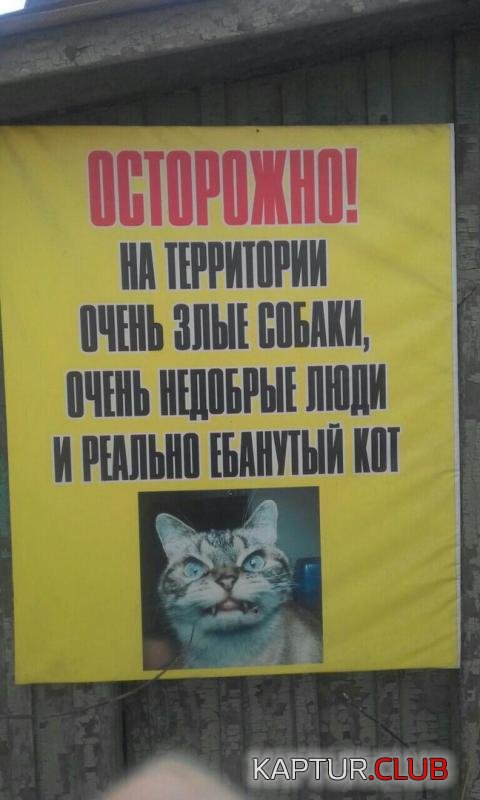 2078efa2f8b0122eb99c17508fc_prev.jpg | Рено Каптур Клуб Россия | Форум KAPTUR.SU
