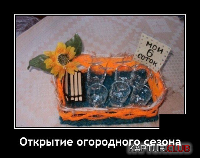 207943_6_trinixy_ru.jpg | Рено Каптур Клуб Россия | Форум KAPTUR.SU