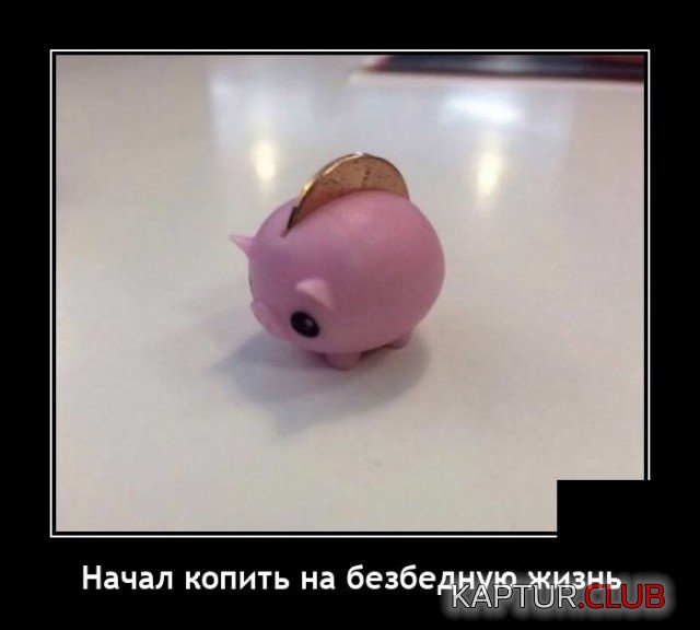 208040_3_trinixy_ru.jpg | Рено Каптур Клуб Россия | Форум KAPTUR.SU