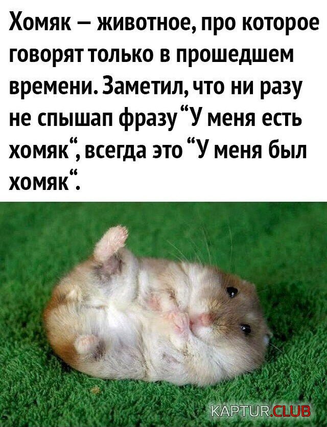 208052_17_trinixy_ru.jpg | Рено Каптур Клуб Россия | Форум KAPTUR.SU