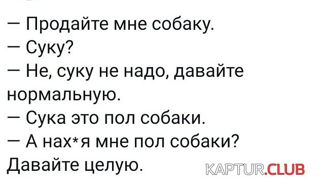 208271_12_trinixy_ru.jpg | Рено Каптур Клуб Россия | Форум KAPTUR.SU
