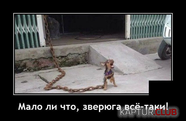 208450_3_trinixy_ru.jpg | Рено Каптур Клуб Россия | Форум KAPTUR.SU