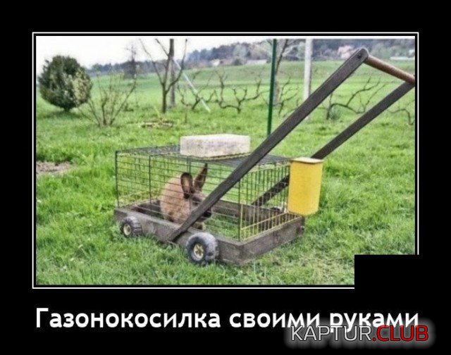 208510_10_trinixy_ru.jpg | Рено Каптур Клуб Россия | Форум KAPTUR.SU