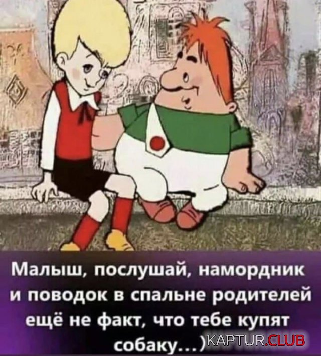 208521_15_trinixy_ru.jpg | Рено Каптур Клуб Россия | Форум KAPTUR.SU