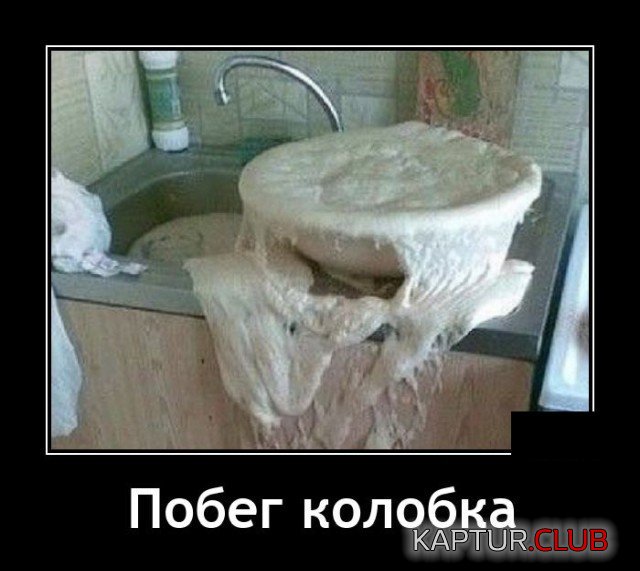 208653_8_trinixy_ru.jpg | Рено Каптур Клуб Россия | Форум KAPTUR.SU