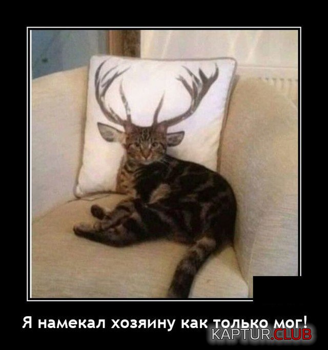 208779_6_trinixy_ru.jpg | Рено Каптур Клуб Россия | Форум KAPTUR.SU