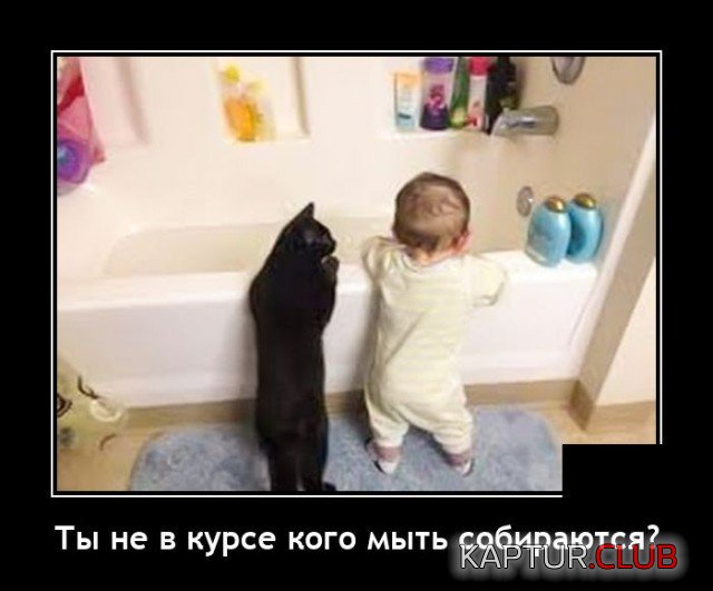 208843_4_trinixy_ru.jpg | Рено Каптур Клуб Россия | Форум KAPTUR.SU