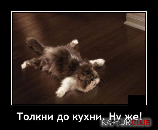 208843_7_trinixy_ru.jpg | Рено Каптур Клуб Россия | Форум KAPTUR.SU