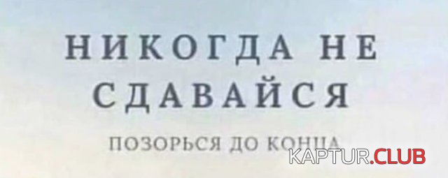 208853_3_trinixy_ru.jpg | Рено Каптур Клуб Россия | Форум KAPTUR.SU
