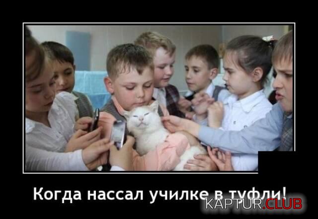 209034_5_trinixy_ru.jpg | Рено Каптур Клуб Россия | Форум KAPTUR.SU