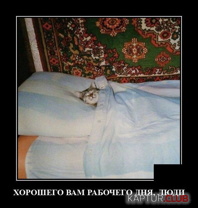209171_15_trinixy_ru.jpg | Рено Каптур Клуб Россия | Форум KAPTUR.SU