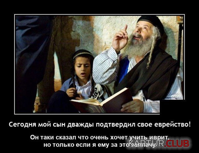 209304_17_trinixy_ru.jpg | Рено Каптур Клуб Россия | Форум KAPTUR.SU