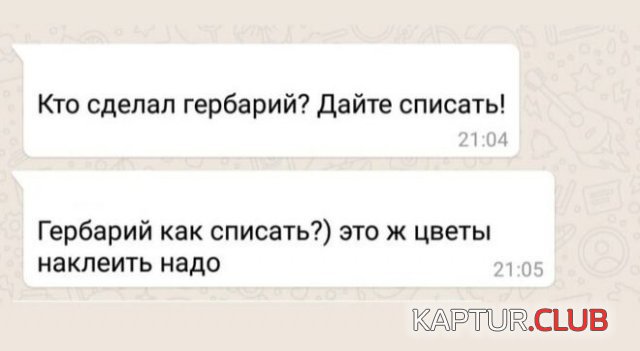 209327_1_trinixy_ru.jpg | Рено Каптур Клуб Россия | Форум KAPTUR.SU