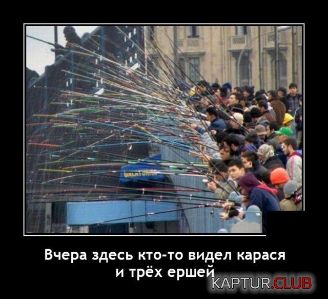 209387_13_trinixy_ru.jpg | Рено Каптур Клуб Россия | Форум KAPTUR.SU