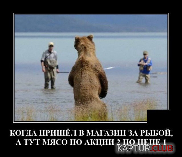 209387_9_trinixy_ru.jpg | Рено Каптур Клуб Россия | Форум KAPTUR.SU