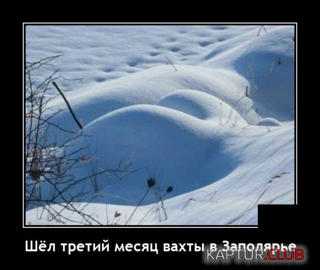 209446_12_trinixy_ru.jpg | Рено Каптур Клуб Россия | Форум KAPTUR.SU