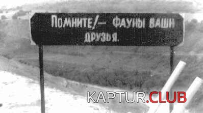 2095.JPG | Рено Каптур Клуб Россия | Форум KAPTUR.SU