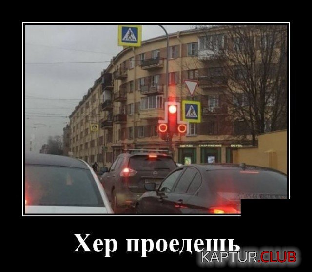 209558_3_trinixy_ru.jpg | Рено Каптур Клуб Россия | Форум KAPTUR.SU
