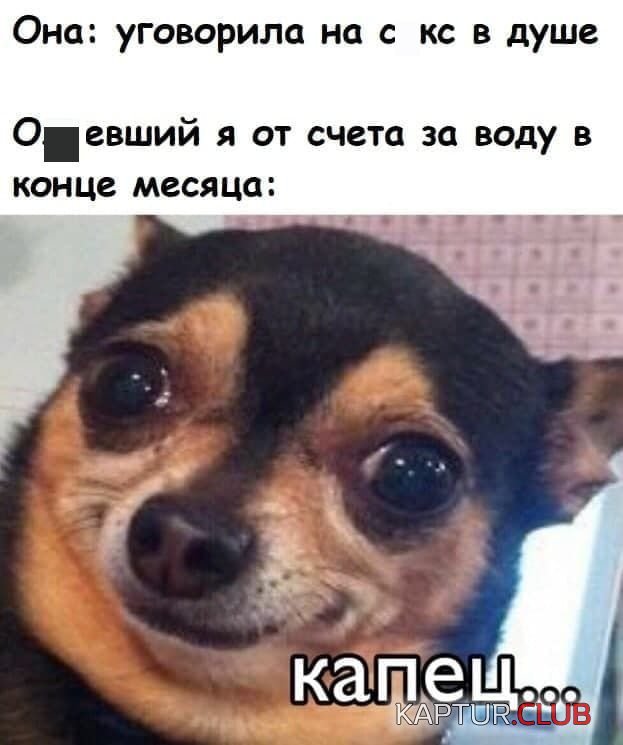 209592_4_trinixy_ru.jpg | Рено Каптур Клуб Россия | Форум KAPTUR.SU