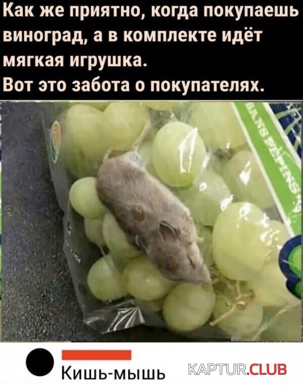 209674_7_trinixy_ru.jpg | Рено Каптур Клуб Россия | Форум KAPTUR.SU