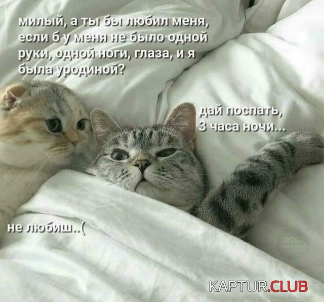 209732_9_trinixy_ru.jpg | Рено Каптур Клуб Россия | Форум KAPTUR.SU