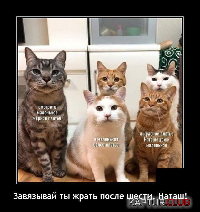 209734_2_trinixy_ru.jpg | Рено Каптур Клуб Россия | Форум KAPTUR.SU