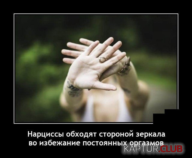 209781_3_trinixy_ru.jpg | Рено Каптур Клуб Россия | Форум KAPTUR.SU