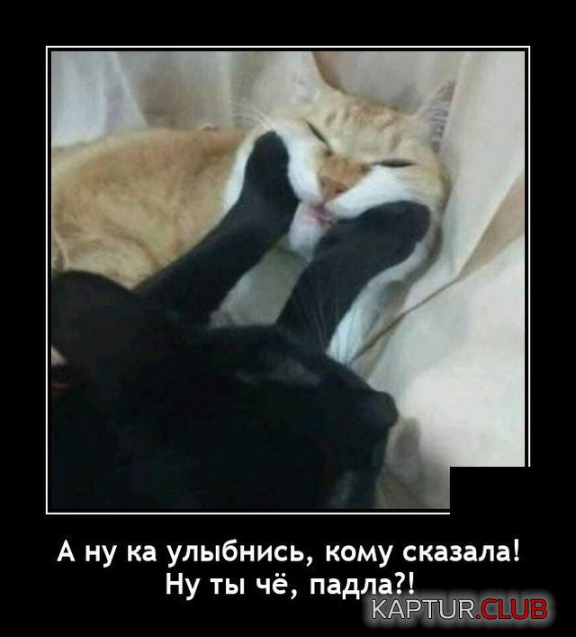 209903_6_trinixy_ru.jpg | Рено Каптур Клуб Россия | Форум KAPTUR.SU