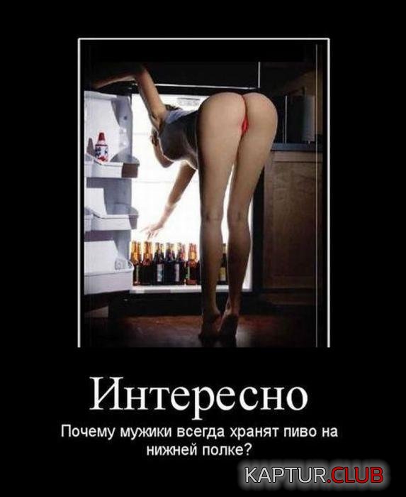 20b3c542f552b287839e8b77f4e_prev.jpg | Рено Каптур Клуб Россия | Форум KAPTUR.SU