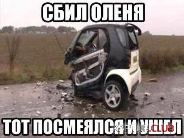 20ce2393757ef9f017ab25901ad_prev.jpg | Рено Каптур Клуб Россия | Форум KAPTUR.SU