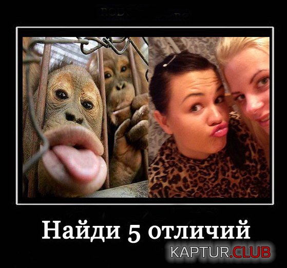 20d42f58b5b41c7a4318511b4fd.jpg | Рено Каптур Клуб Россия | Форум KAPTUR.SU