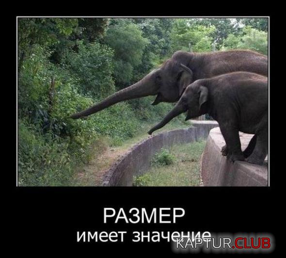 20f098066df958551c3c3649d04_prev.jpg | Рено Каптур Клуб Россия | Форум KAPTUR.SU