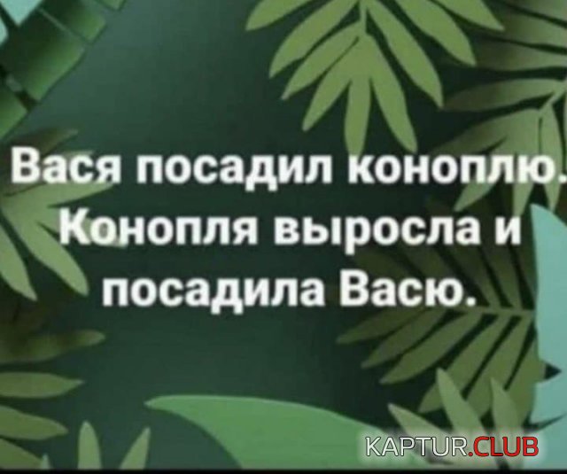 210453_6_trinixy_ru.jpg | Рено Каптур Клуб Россия | Форум KAPTUR.SU